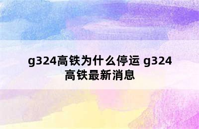 g324高铁为什么停运 g324高铁最新消息